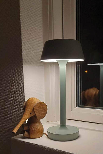 Companion T1 Lampe