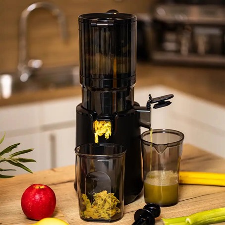 30-HSJ1000 slow juicer 1