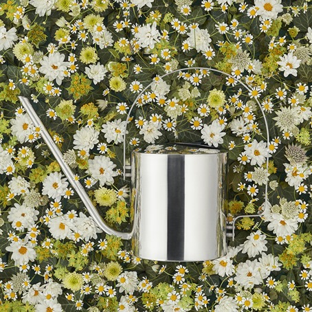 LS_100-15_Original_flower_watering_can_1