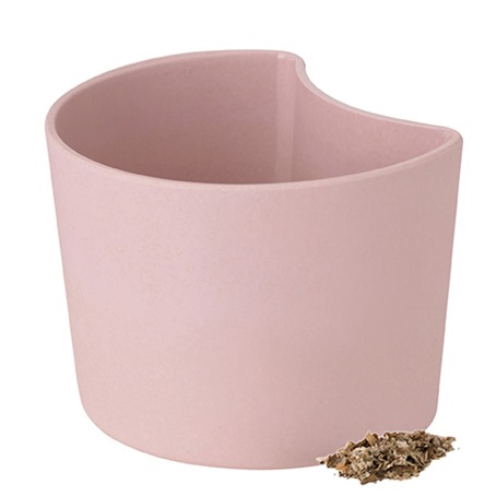 OL_Z00136-2_YOUR_TREE_plant_pot_with_seeds_pink_birch_1