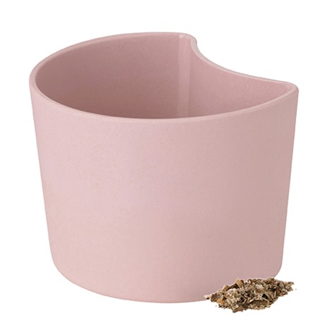 OL_Z00136-2_YOUR_TREE_plant_pot_with_seeds_pink_birch_1